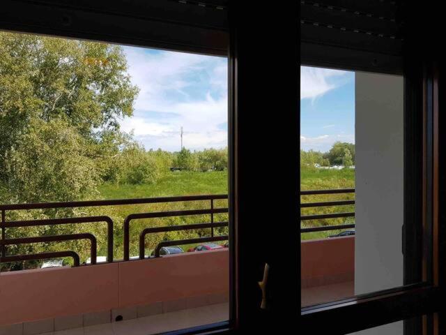 With Terrace & Free Parking - 3 Minutes From Appartement Grado